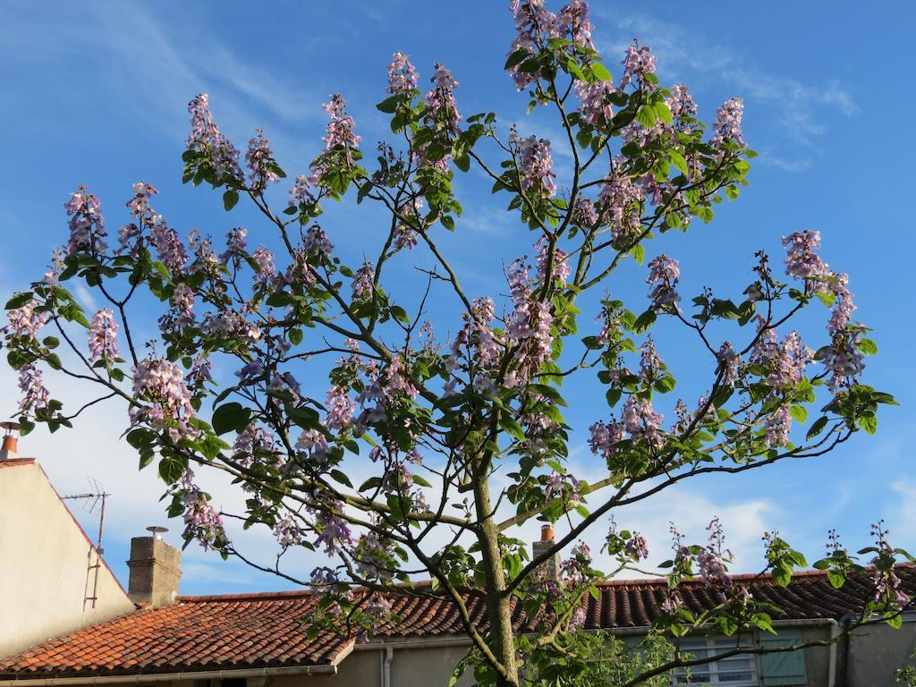 L'Aubinoise Bed and Breakfast Saint-Aubin-la-Plaine Eksteriør billede